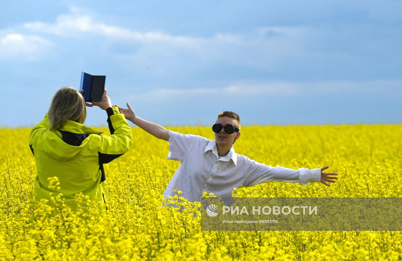Рапсовые поля в Красноярском крае