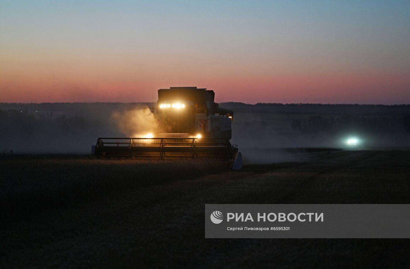 Сбор урожая пшеницы в Ростовской области