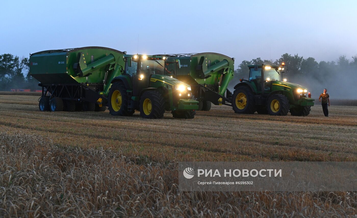 Сбор урожая пшеницы в Ростовской области