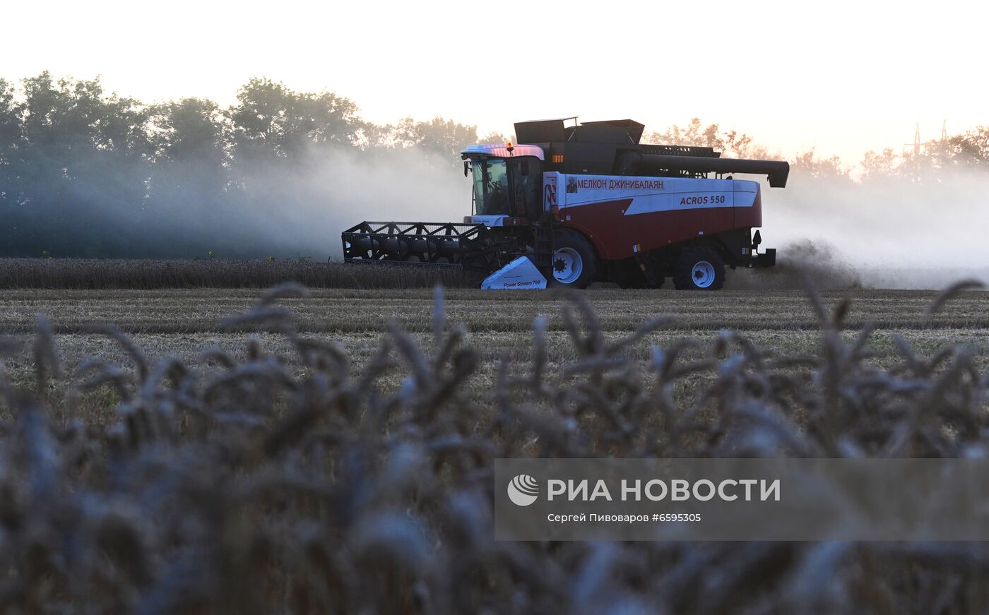Сбор урожая пшеницы в Ростовской области