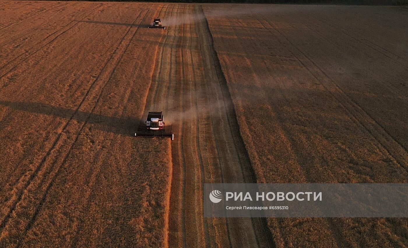 Сбор урожая пшеницы в Ростовской области