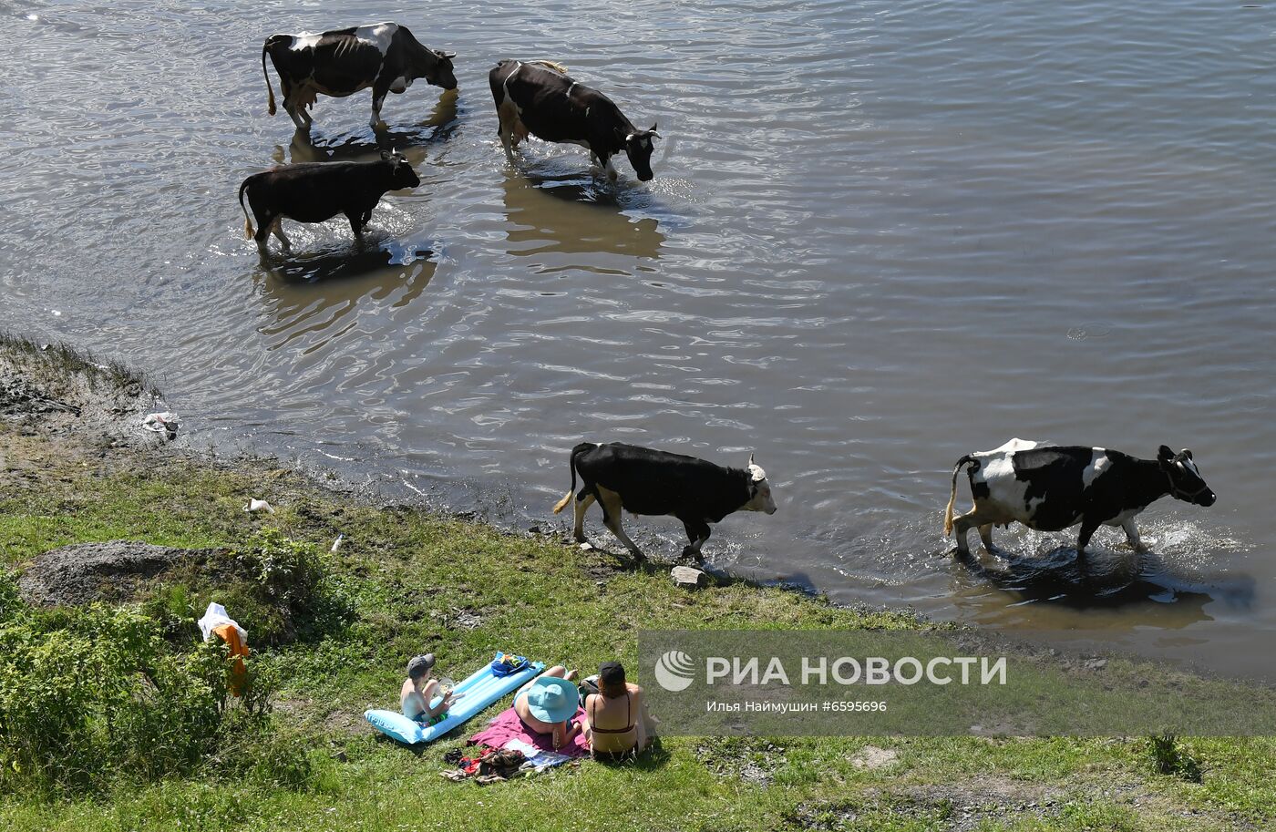 Жара в Красноярском крае