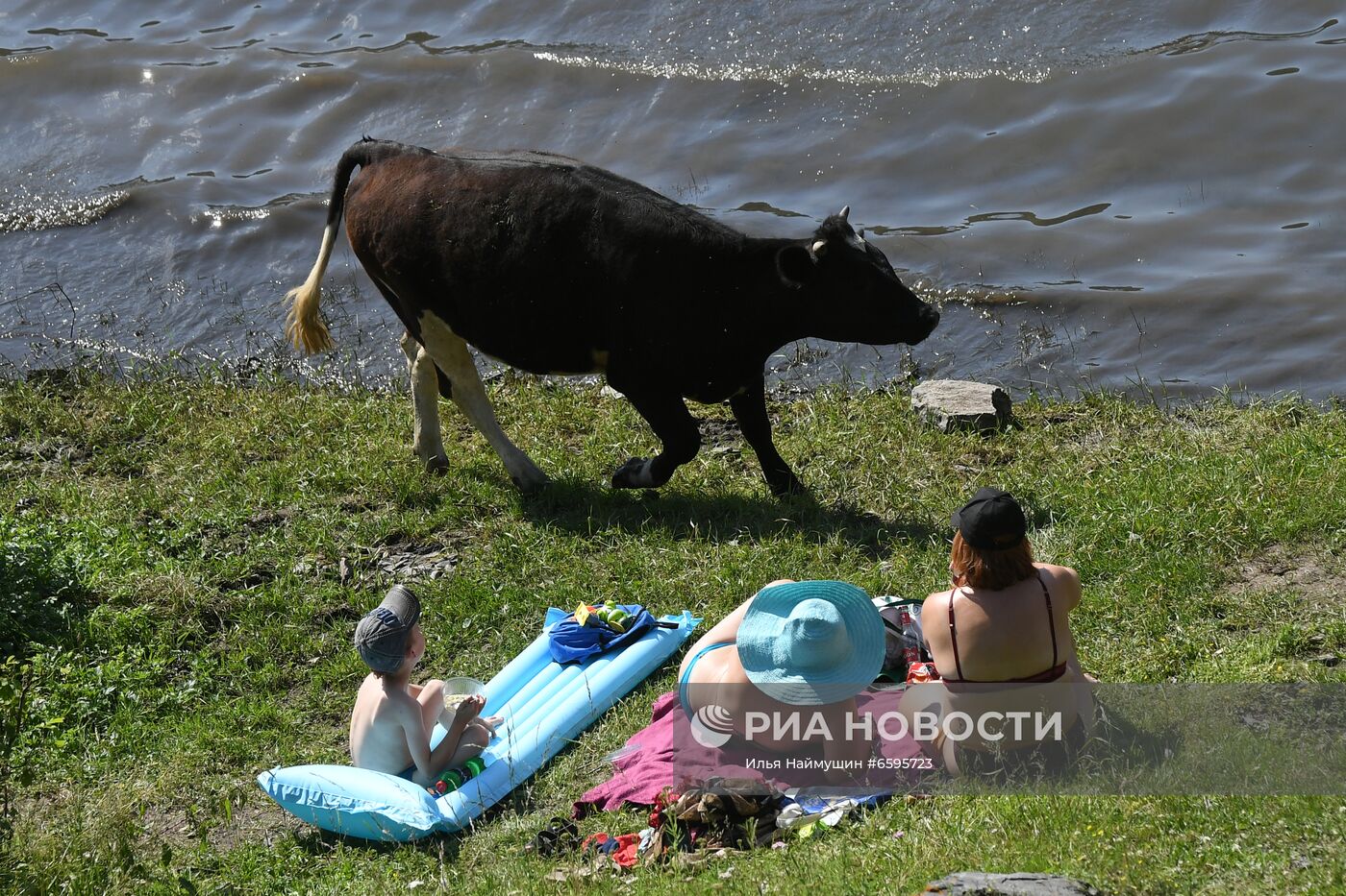 Жара в Красноярском крае