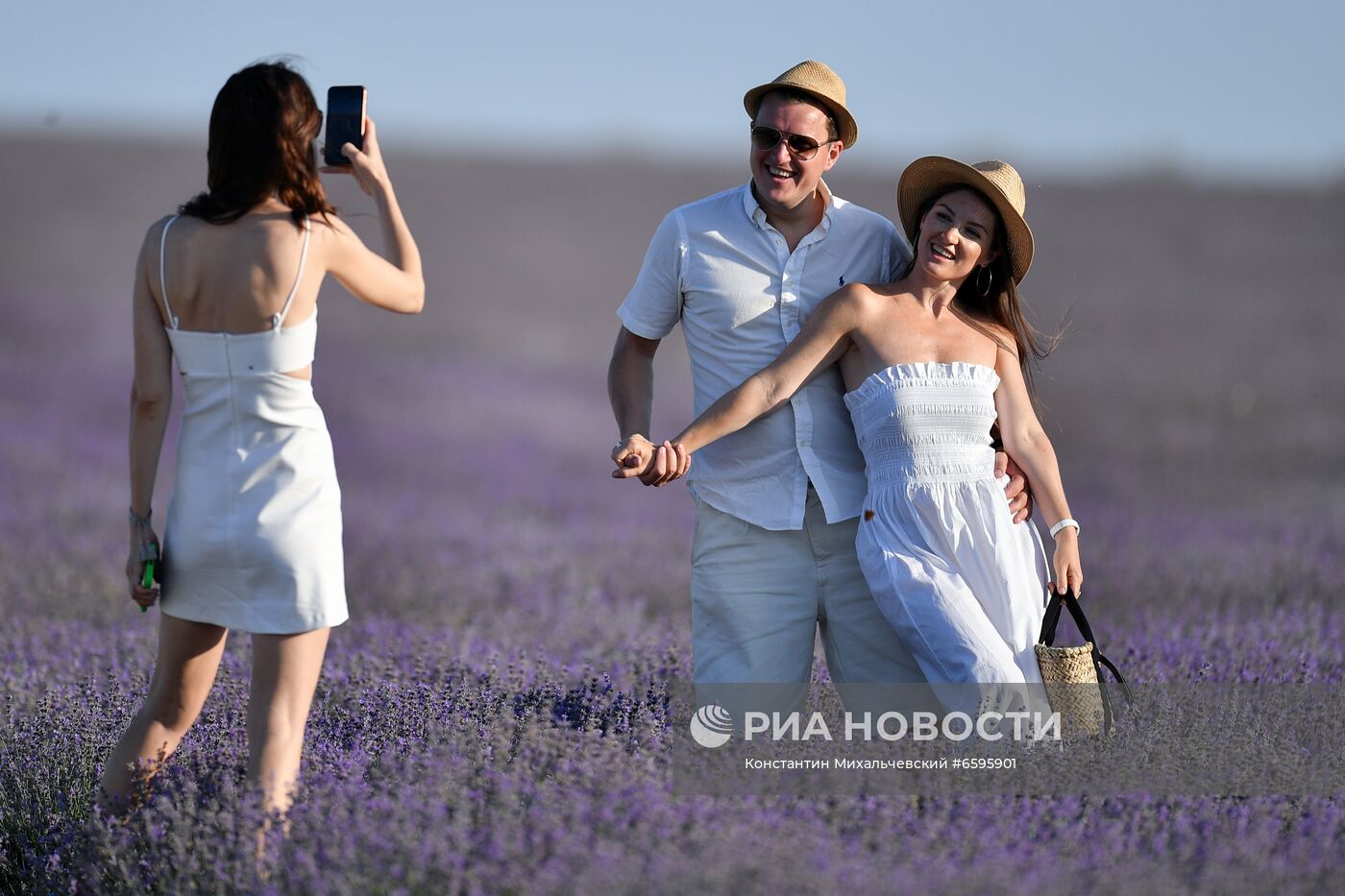 Лавандовые поля в Крыму