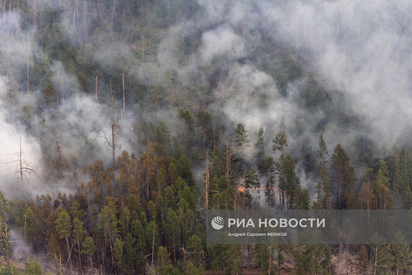 Тушение лесных пожаров в Якутии