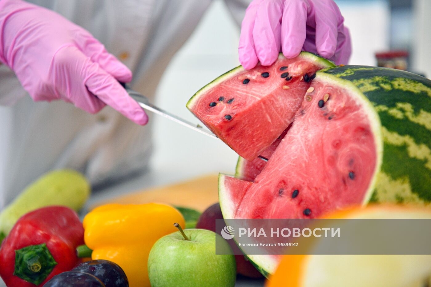 В. Жириновский посетил Федеральный исследовательский центр питания и биотехнологии