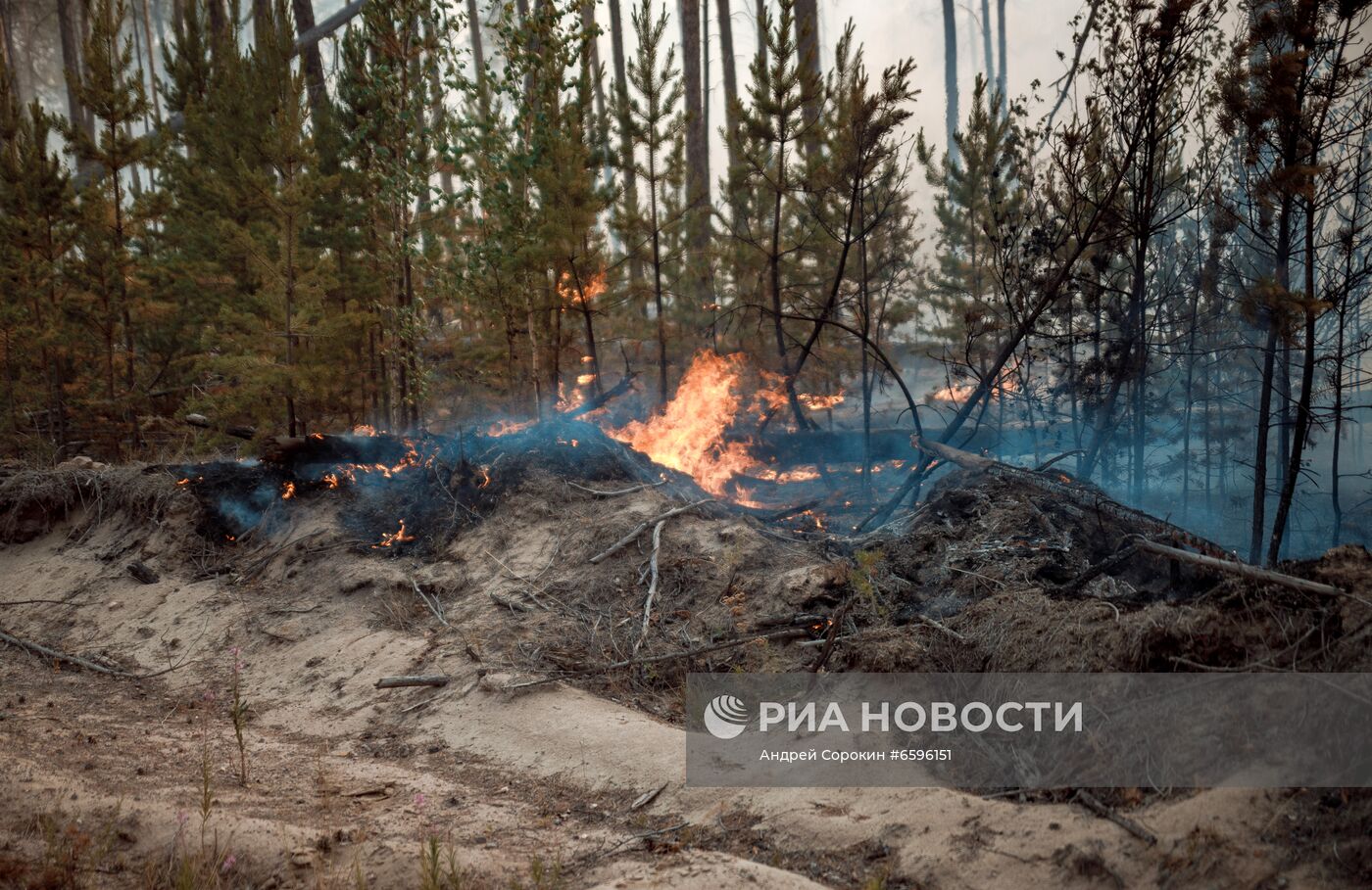 Тушение лесных пожаров в Якутии