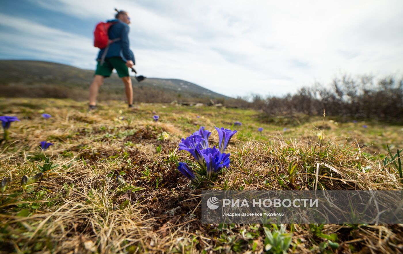 Туризм в Республике Алтай