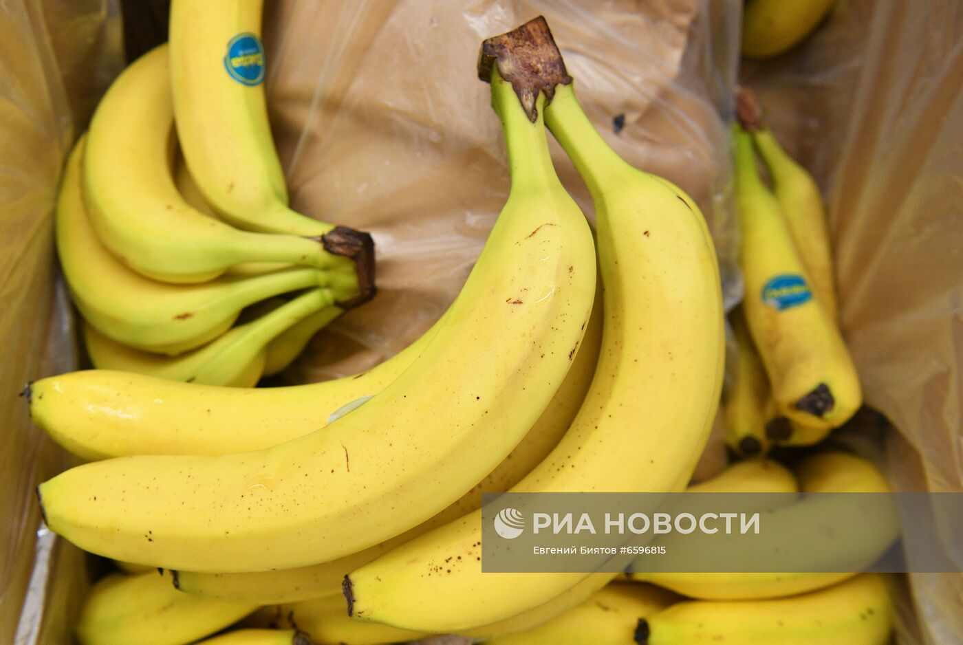 Продажа бананов в Москве