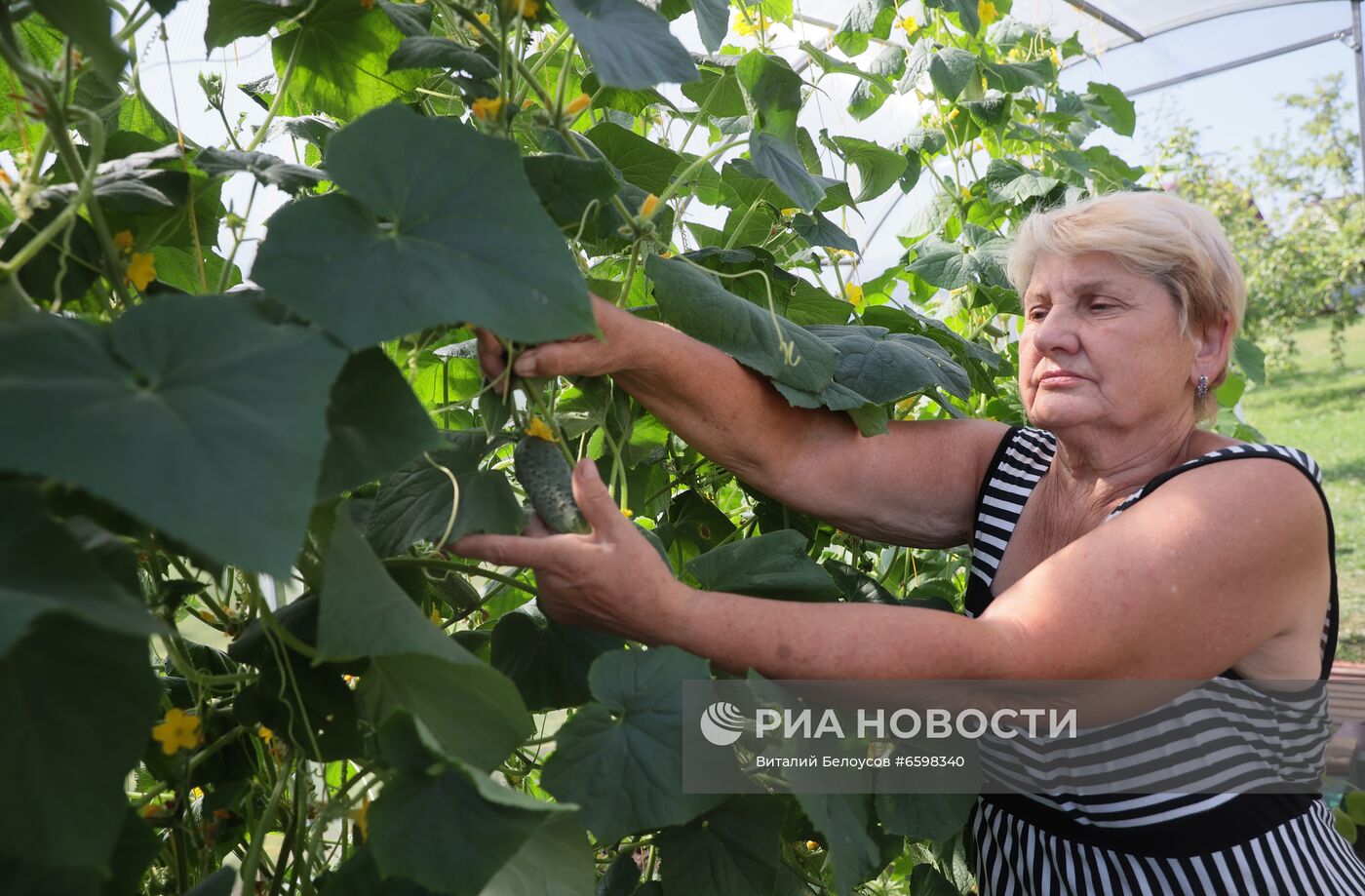 Отдых на дачных участках