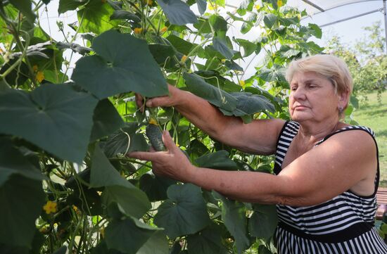 Отдых на дачных участках