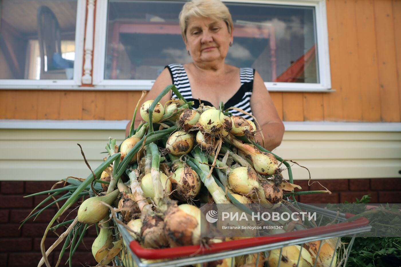 Отдых на дачных участках