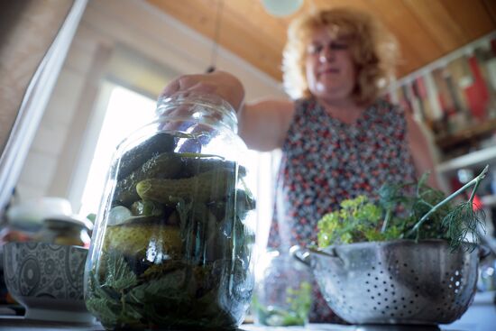 Отдых на дачных участках