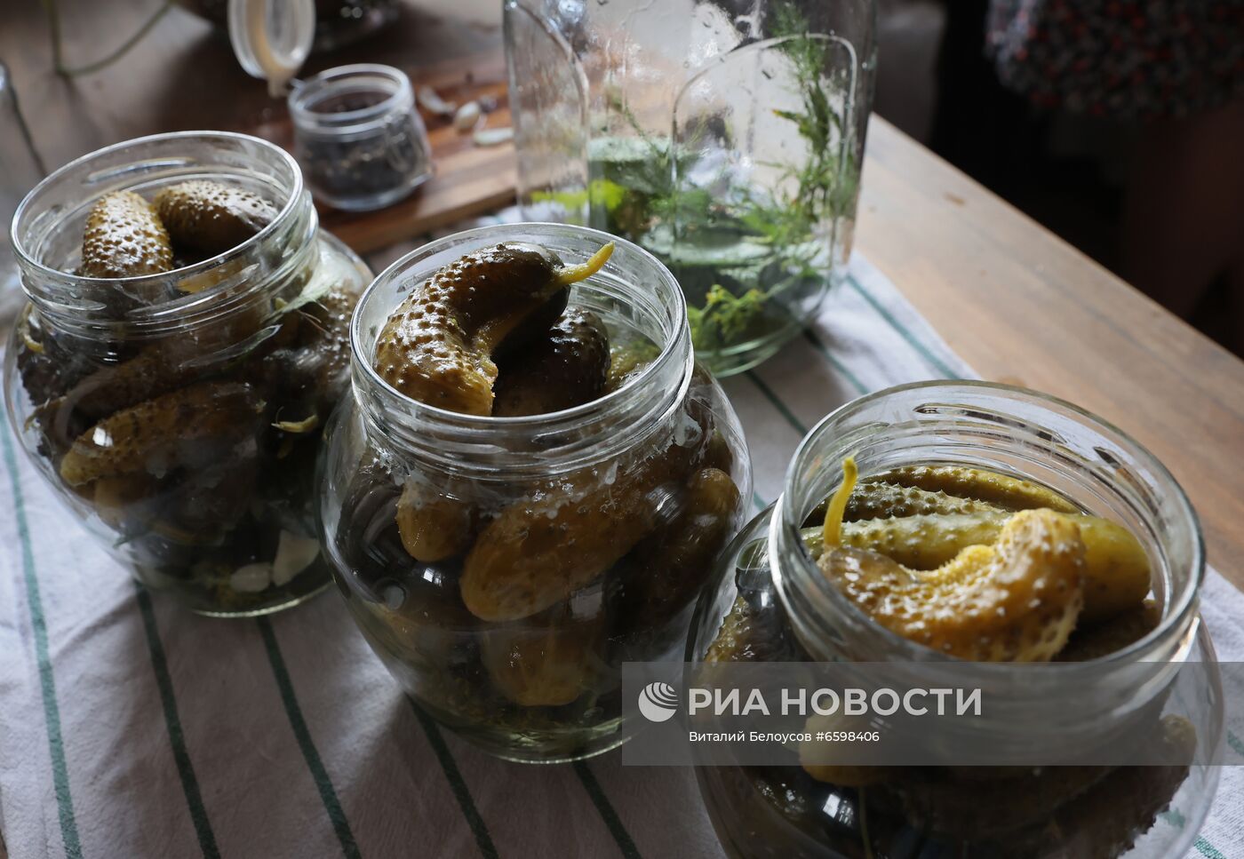 Отдых на дачных участках