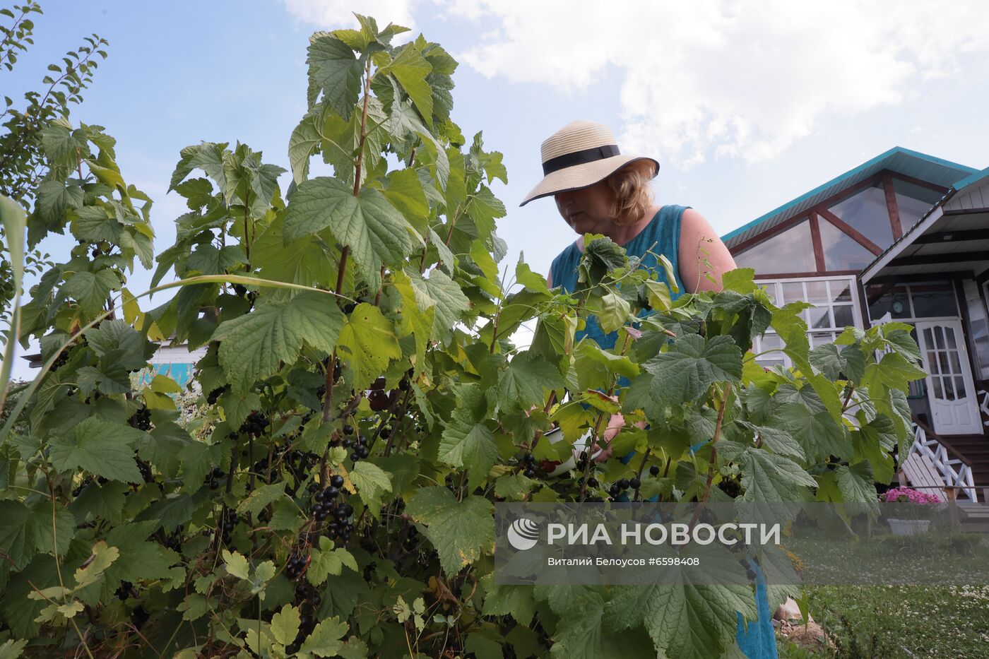 Отдых на дачных участках