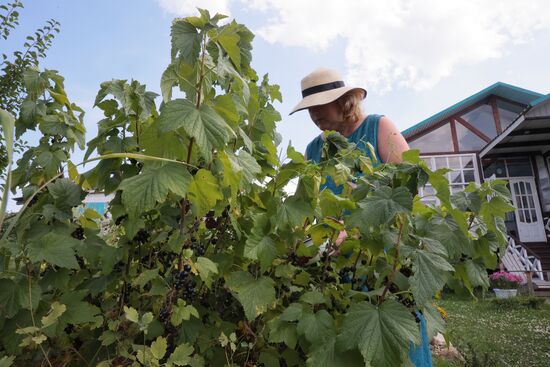 Отдых на дачных участках