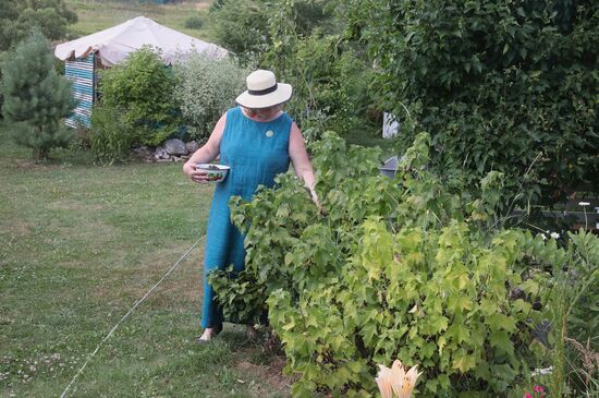 Отдых на дачных участках