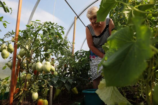 Отдых на дачных участках