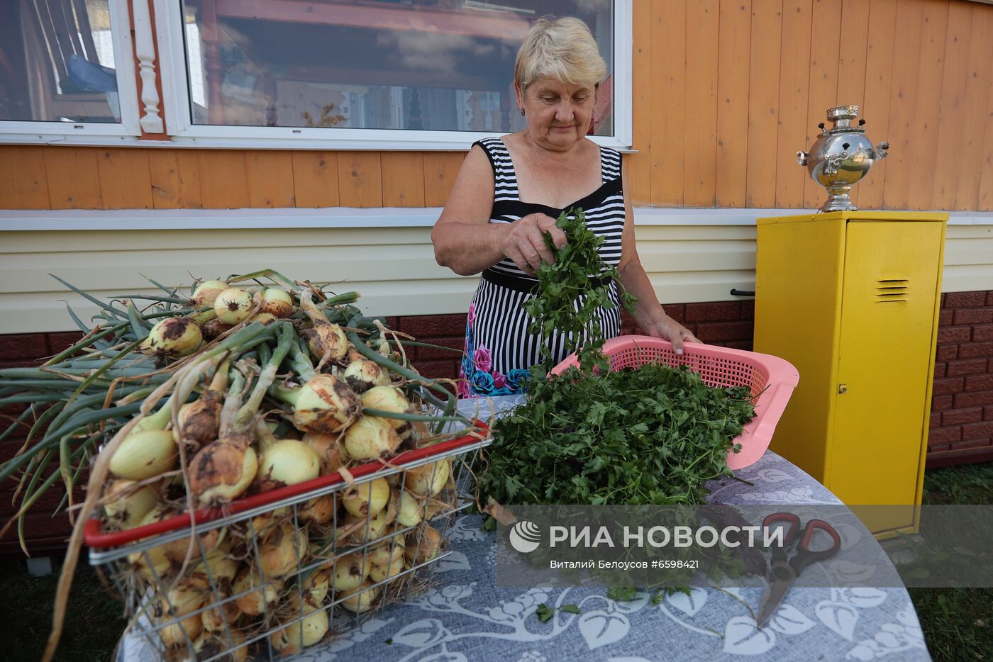 Отдых на дачных участках