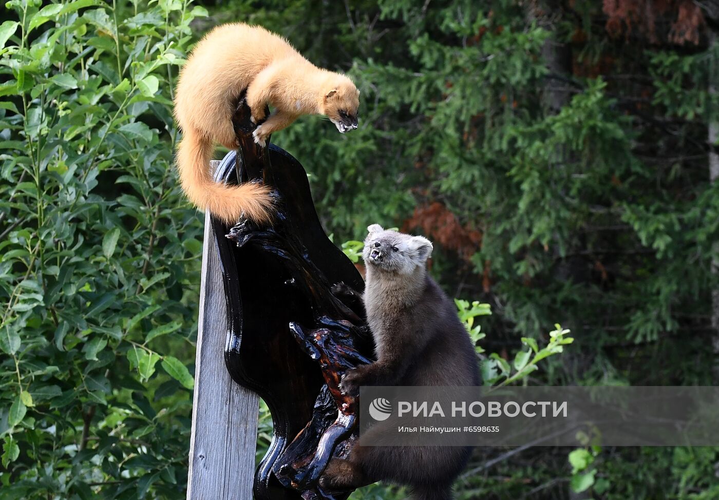 Придорожная торговля в Сибири