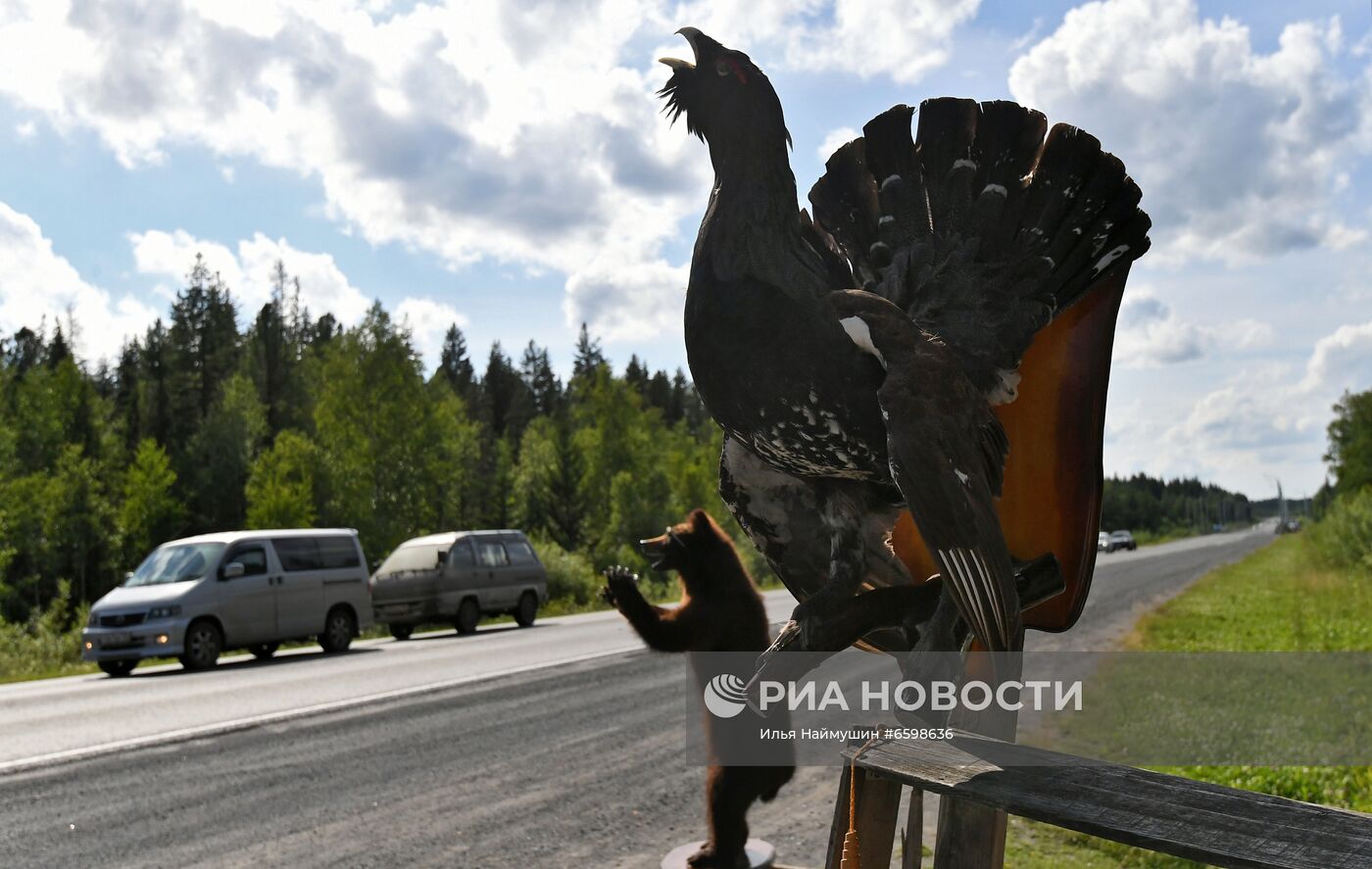 Придорожная торговля в Сибири