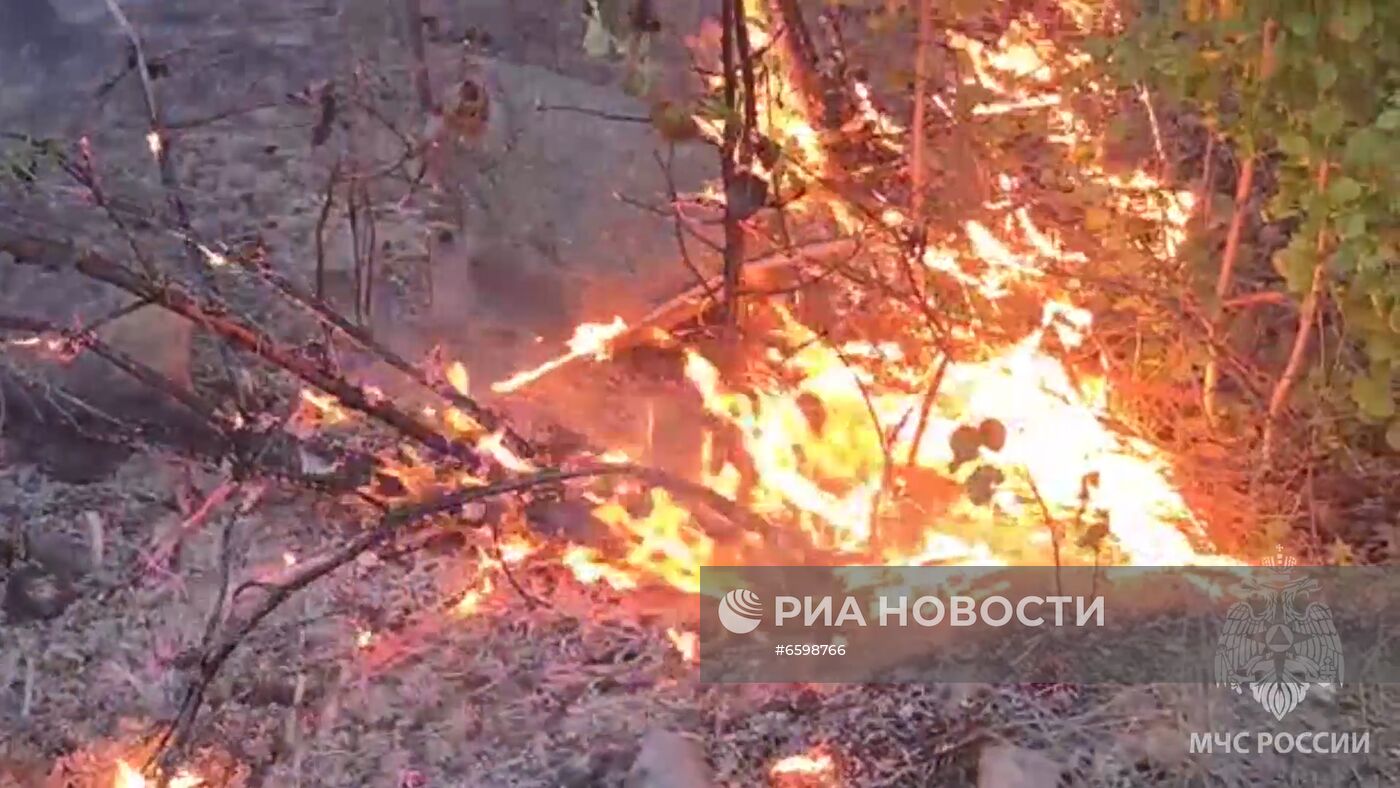 Природные пожары в Карелии