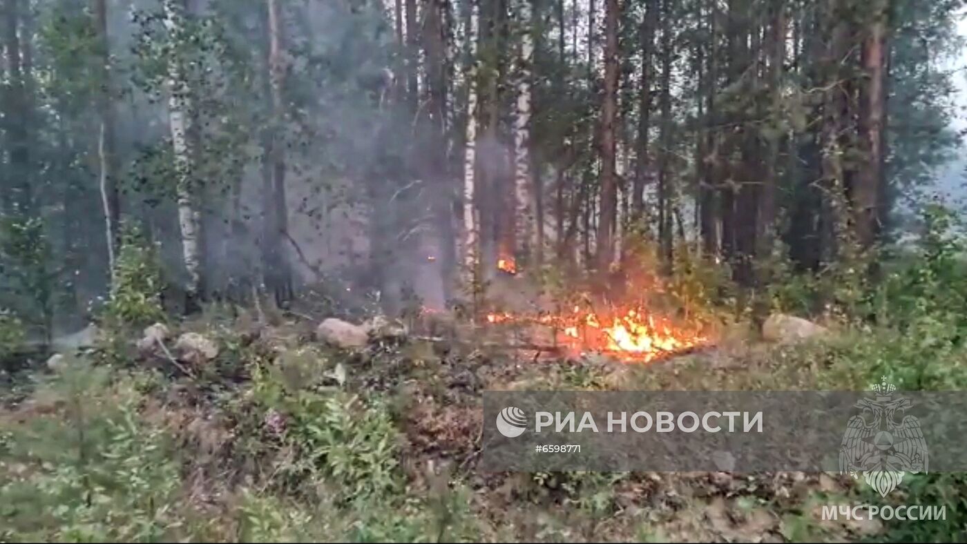 Природные пожары в Карелии