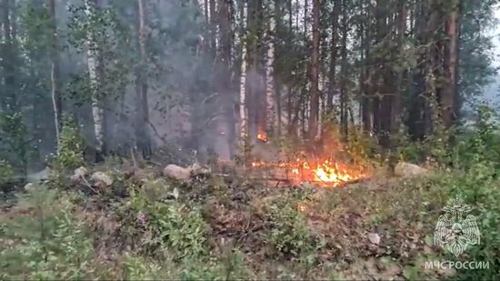 Природные пожары в Карелии