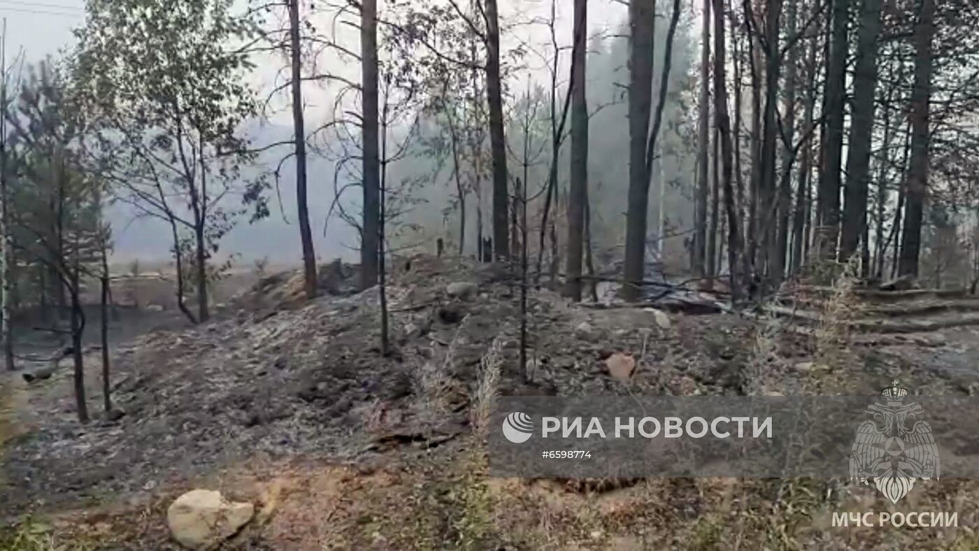 Природные пожары в Карелии