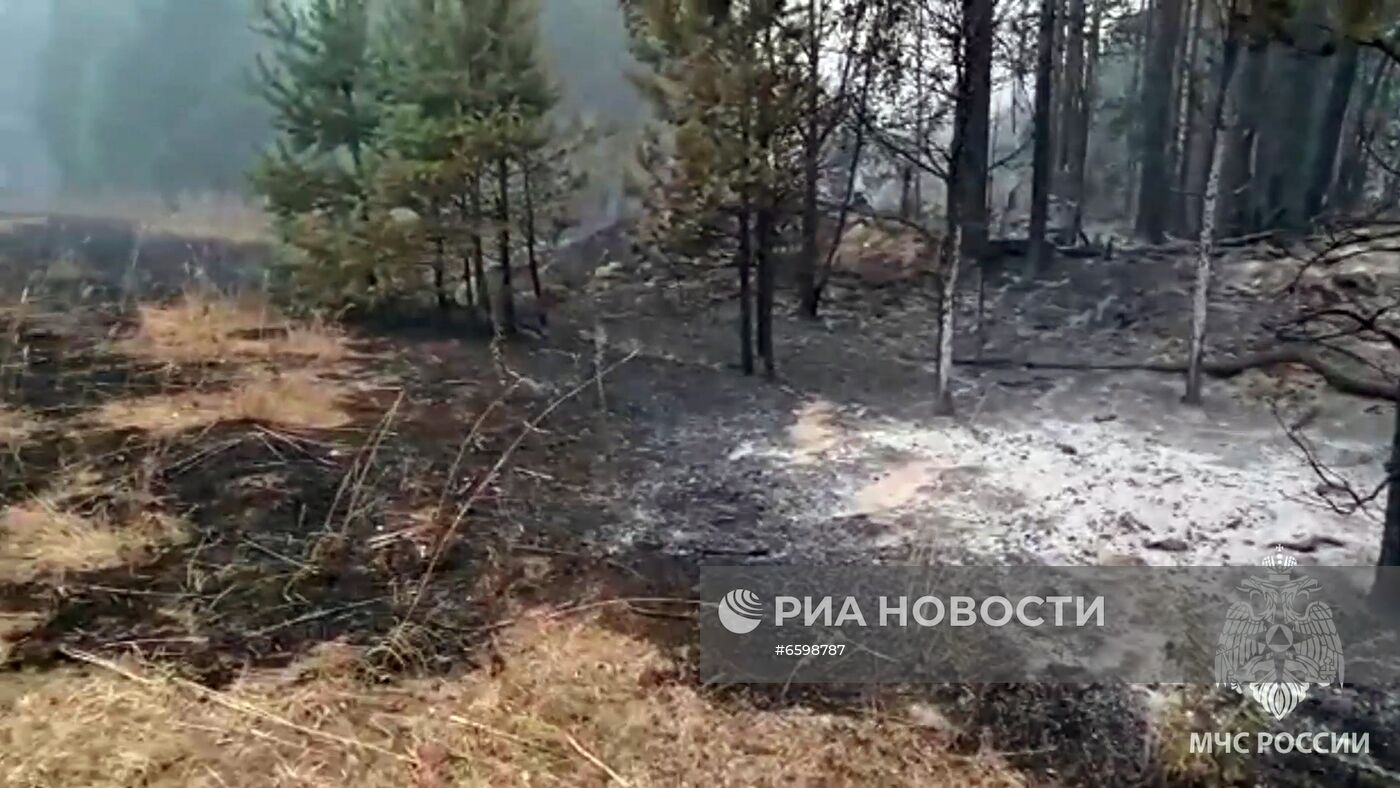 Природные пожары в Карелии