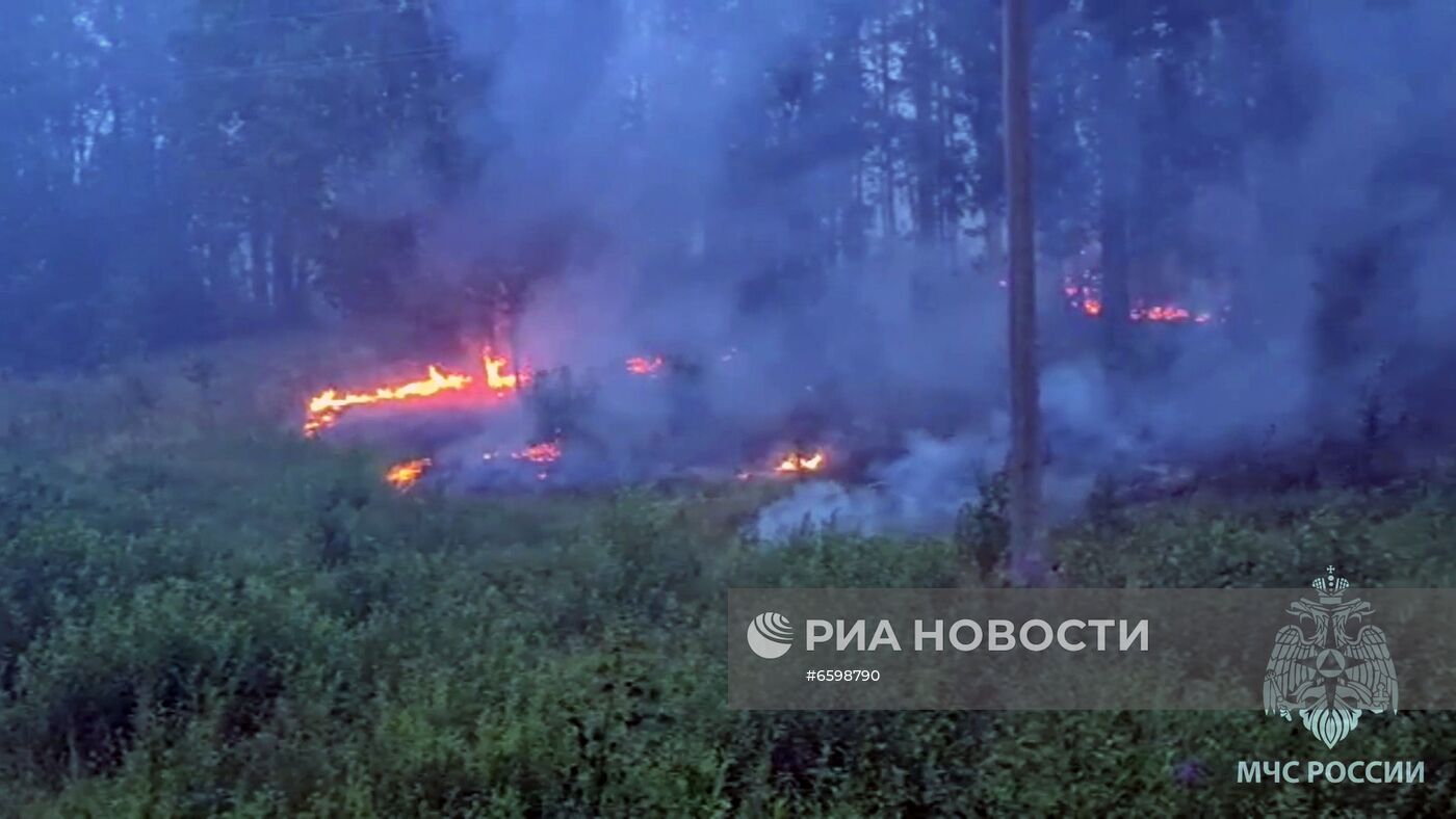 Природные пожары в Карелии