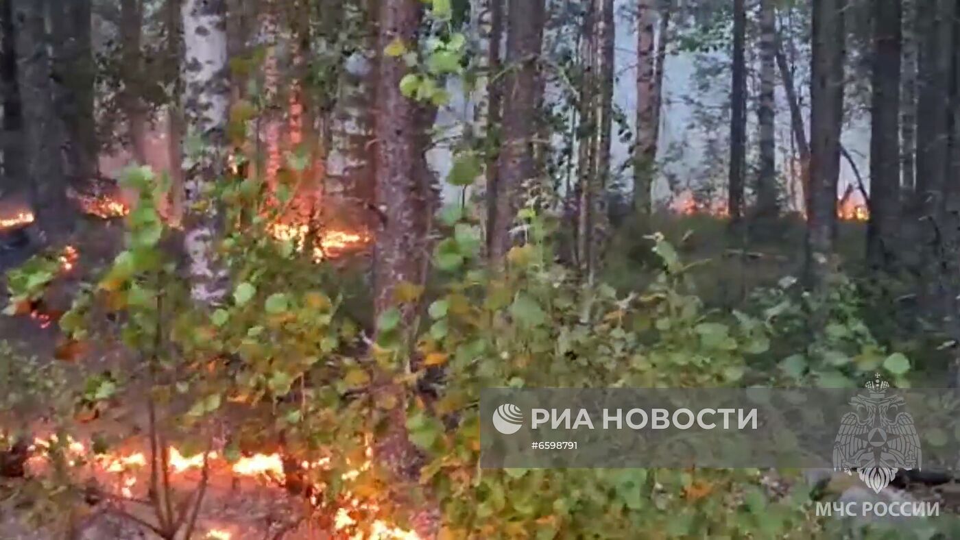 Природные пожары в Карелии