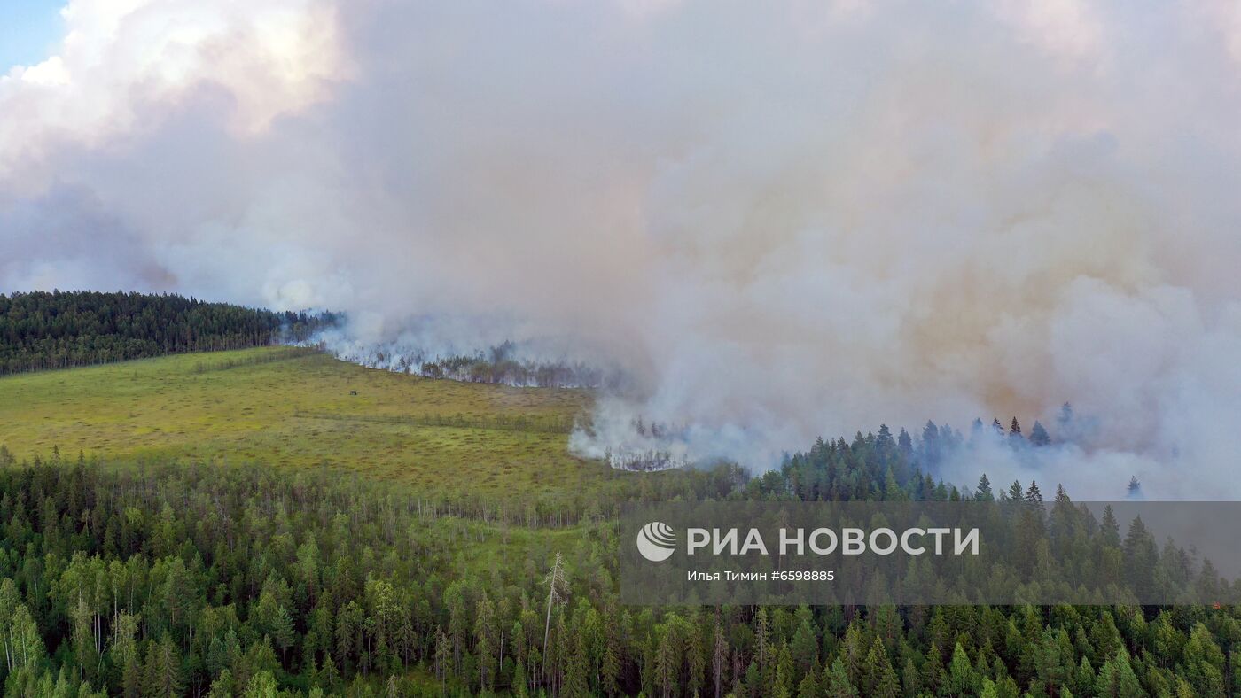 Природные пожары в Карелии