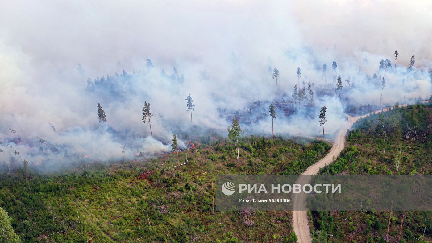 Природные пожары в Карелии