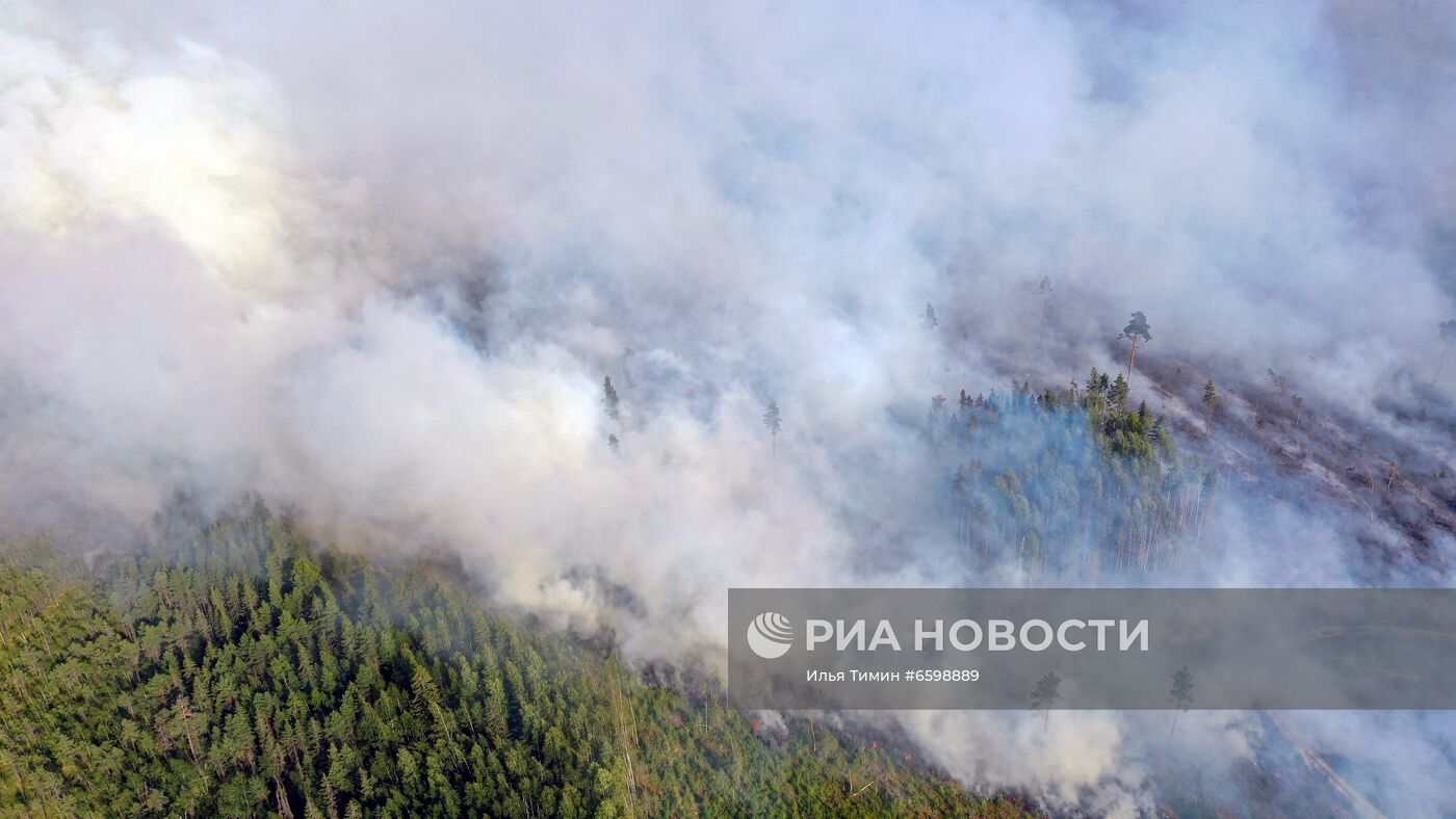 Природные пожары в Карелии