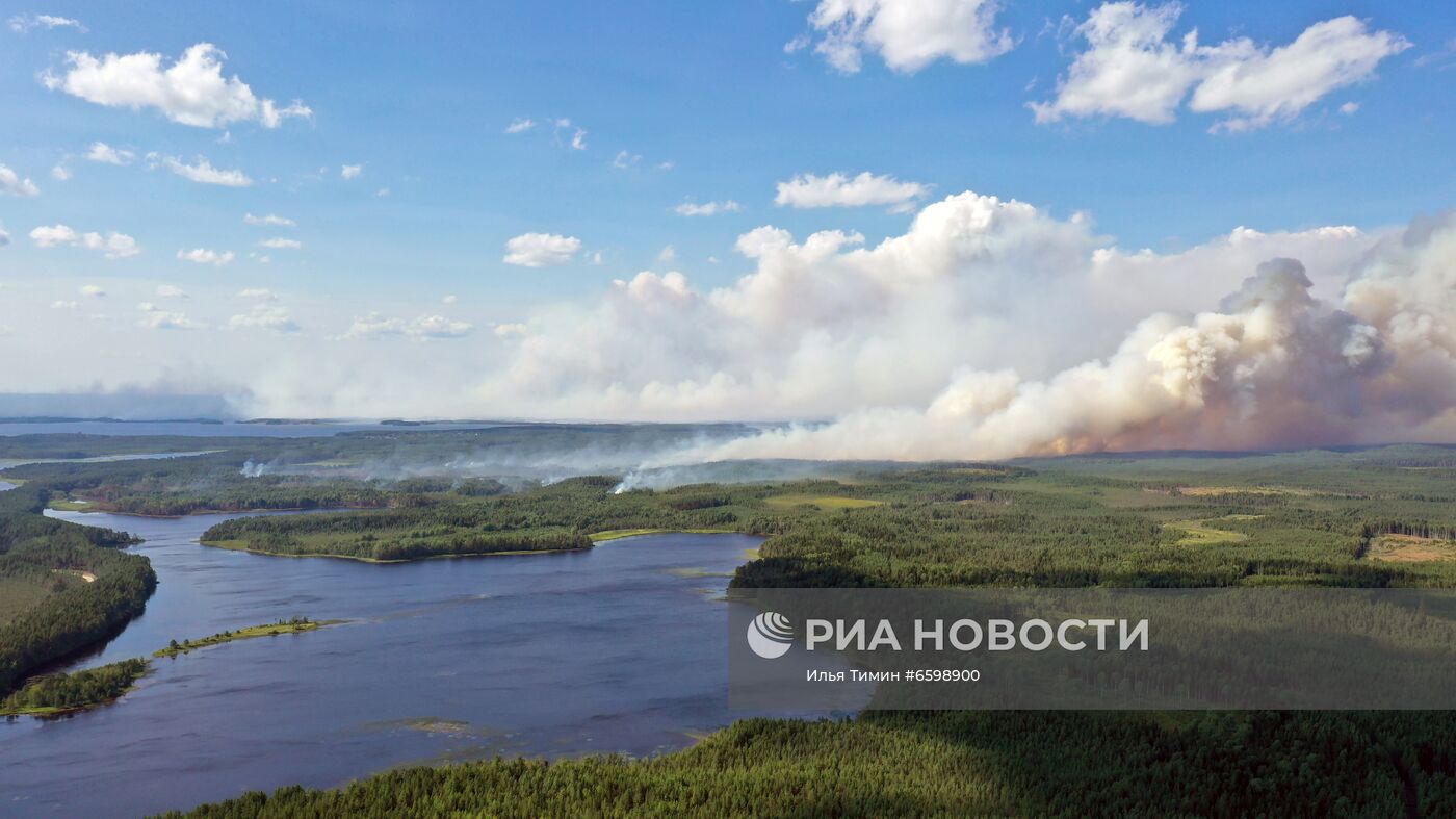 Природные пожары в Карелии