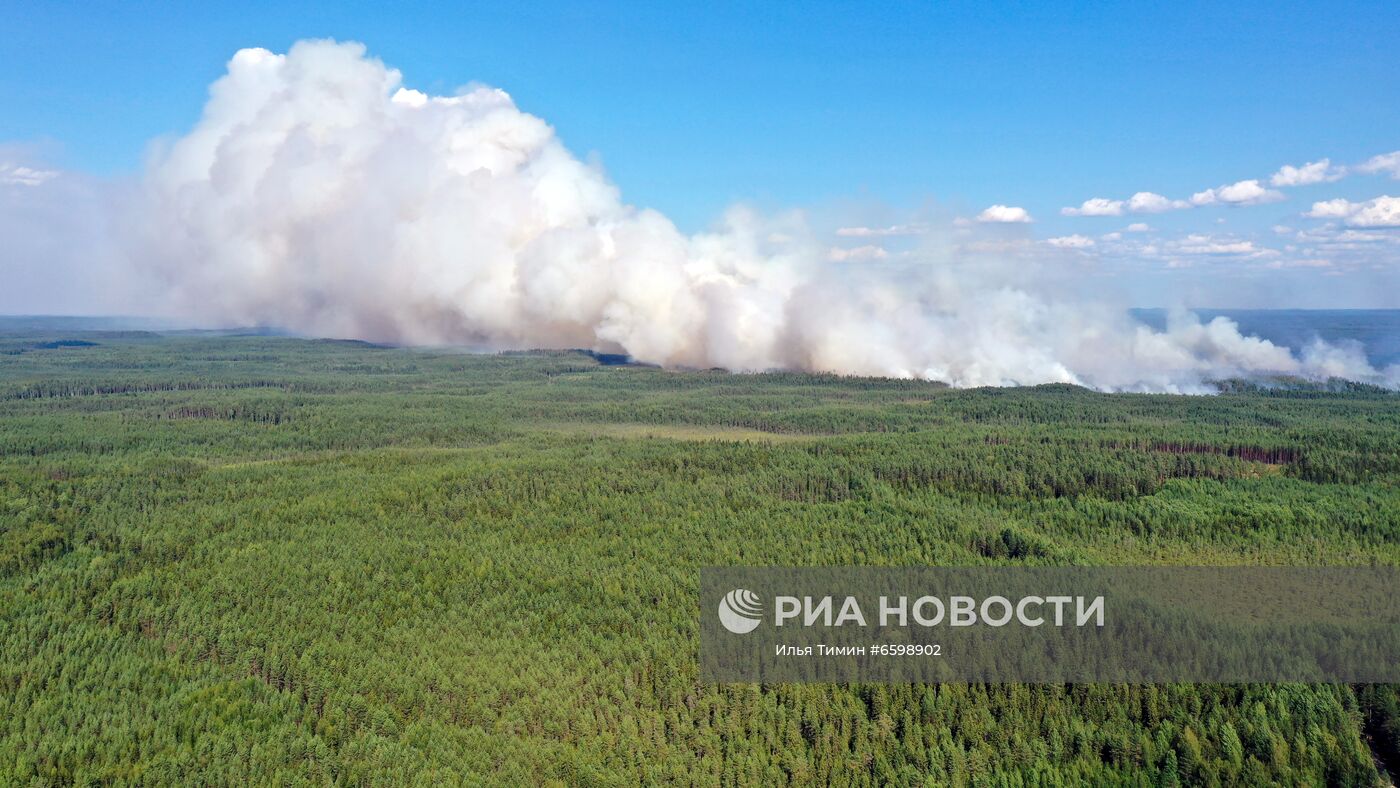 Природные пожары в Карелии