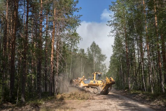 Природные пожары в Карелии