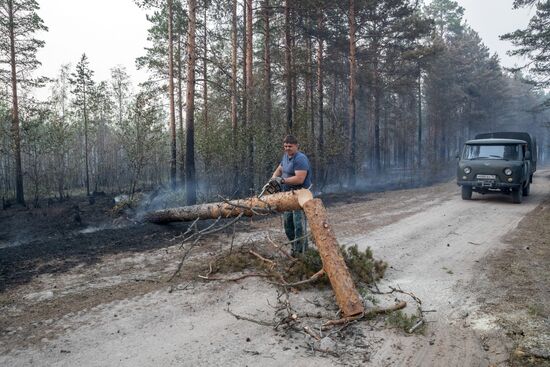 Природные пожары в Карелии