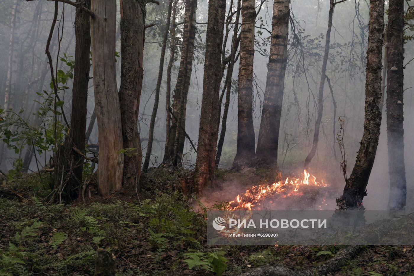 Природные пожары в Карелии