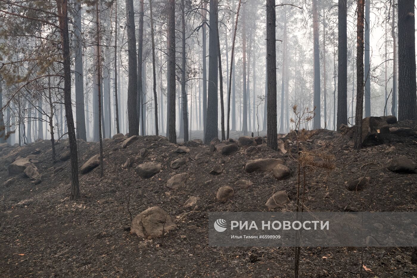 Природные пожары в Карелии