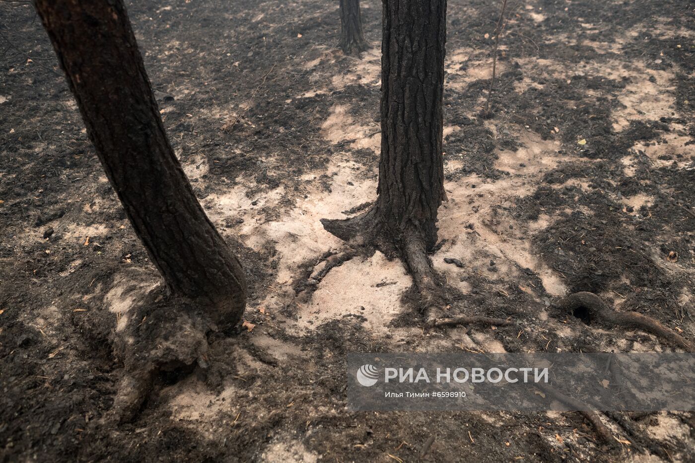 Природные пожары в Карелии