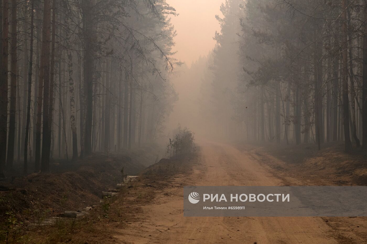 Природные пожары в Карелии