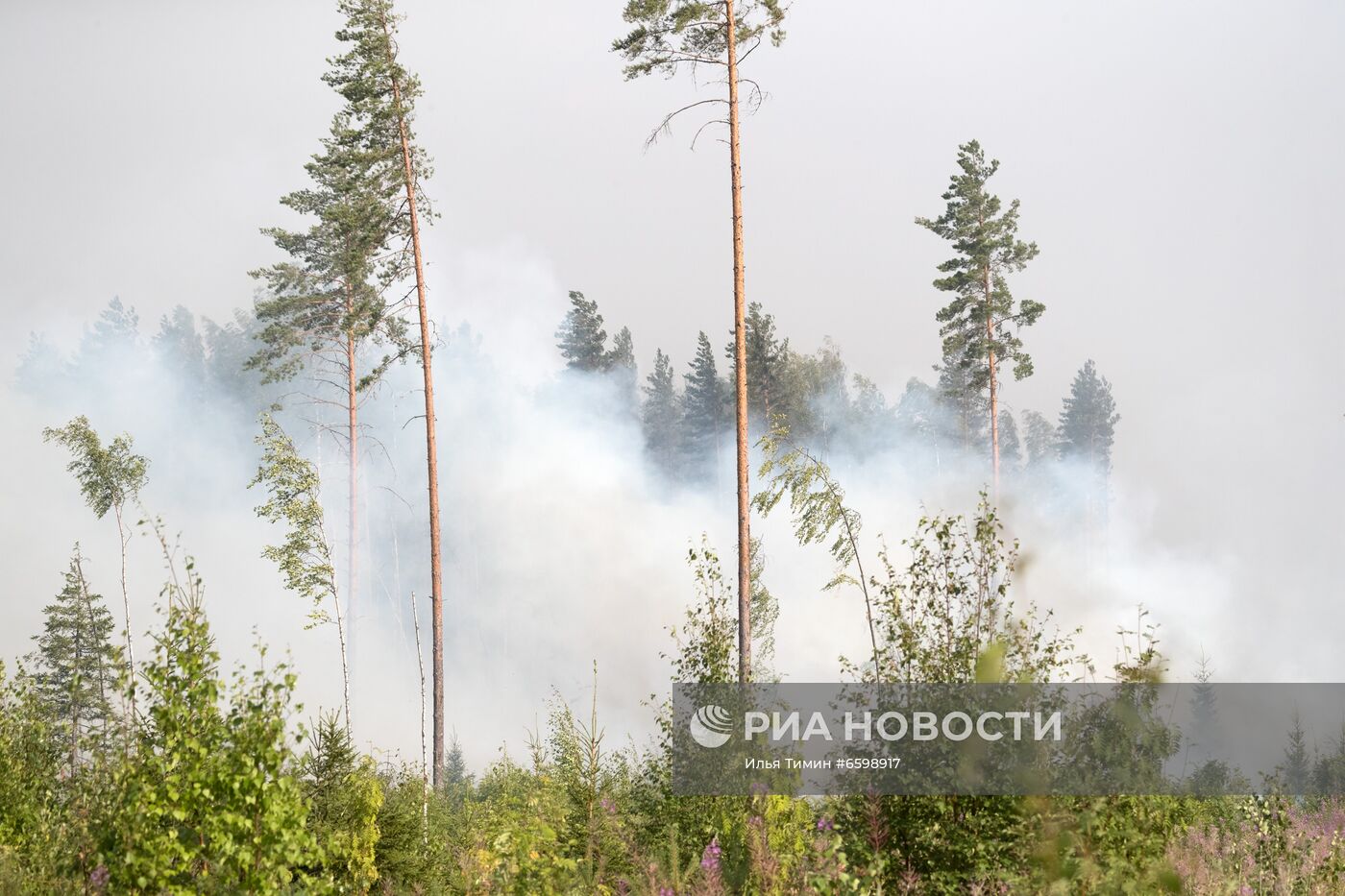 Природные пожары в Карелии