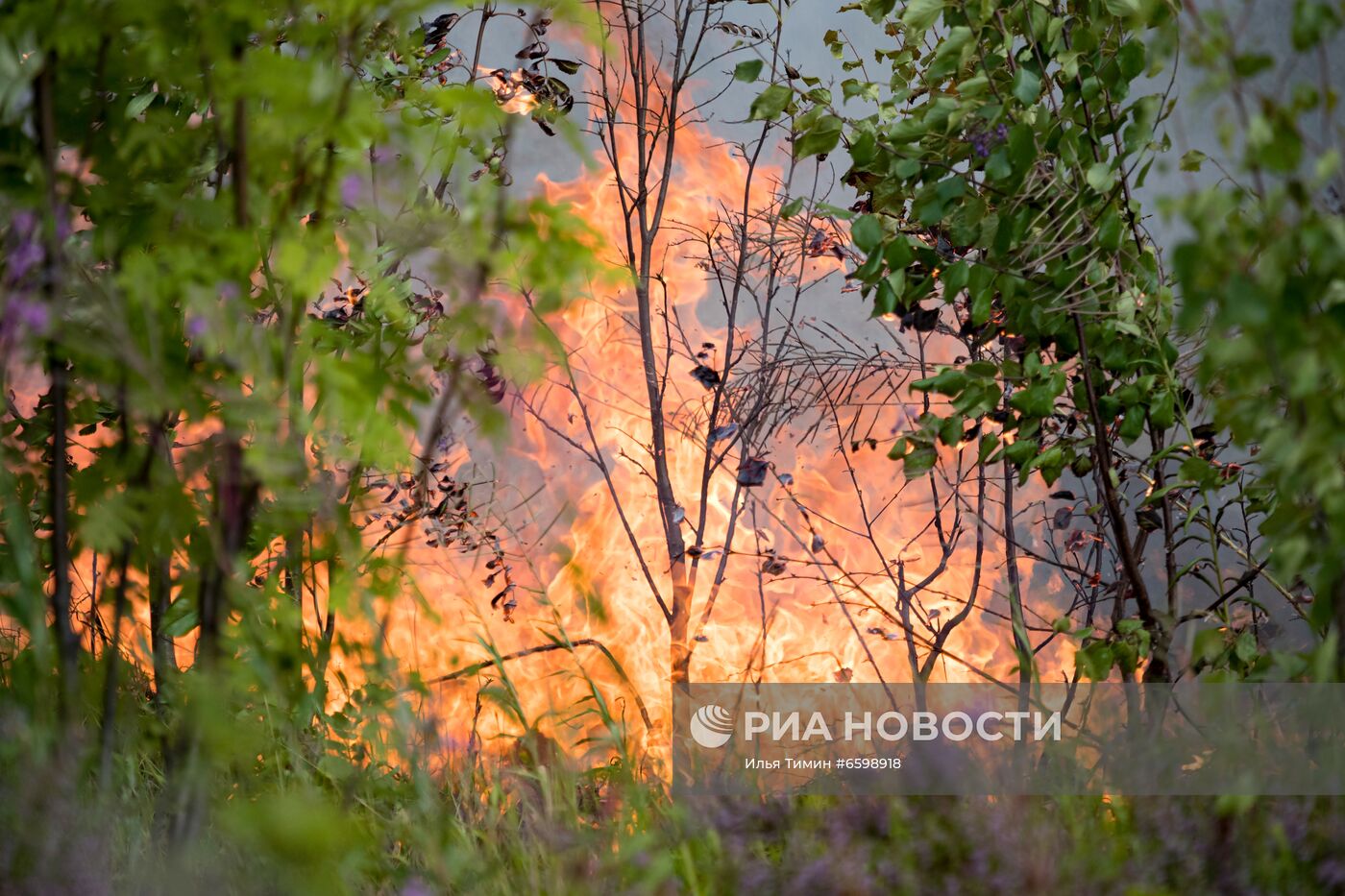 Природные пожары в Карелии