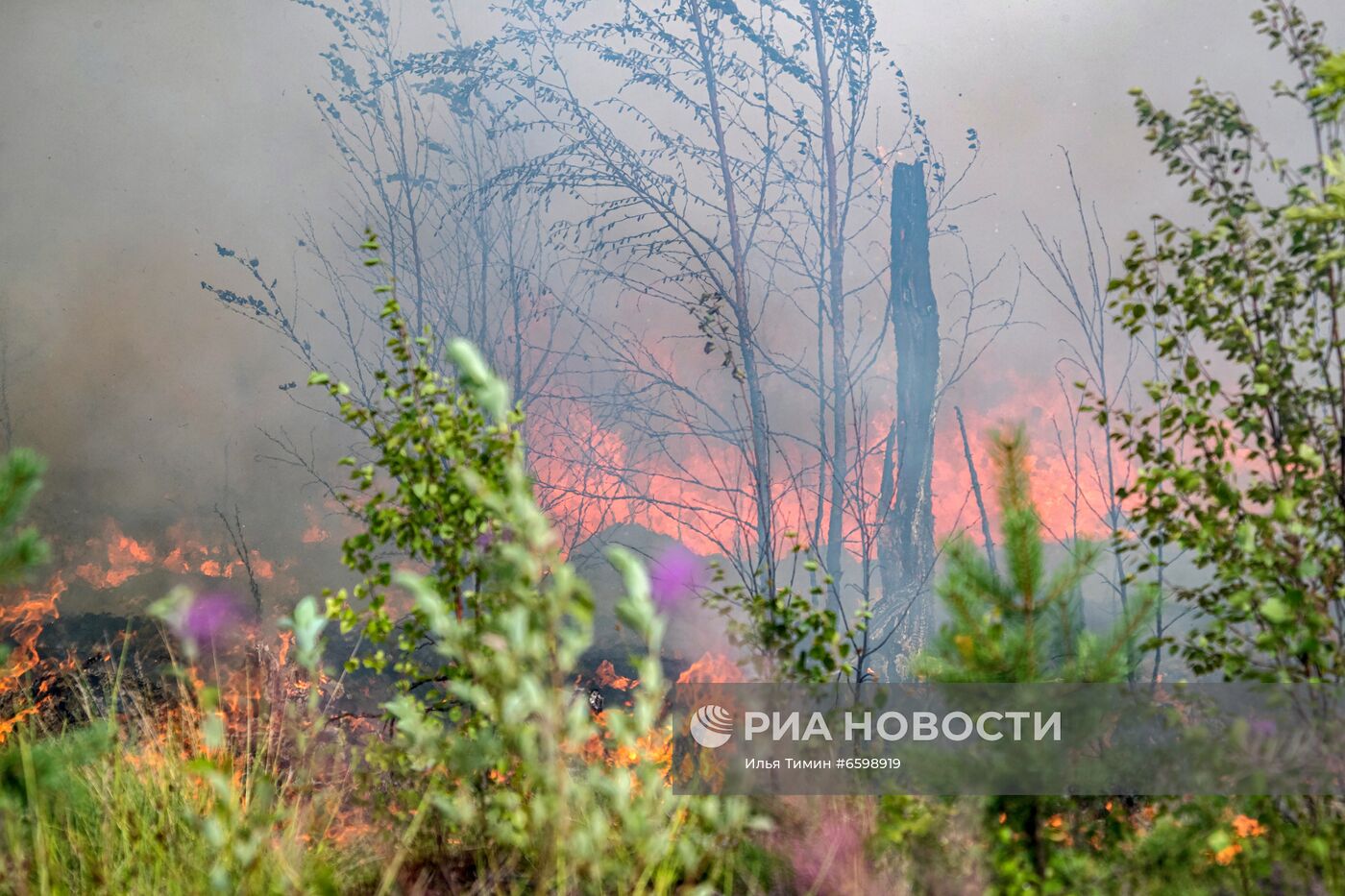 Природные пожары в Карелии