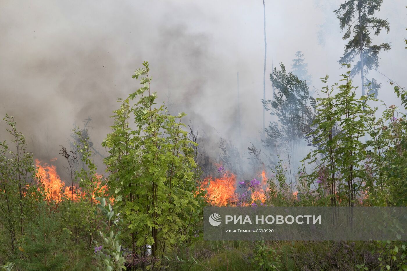 Природные пожары в Карелии