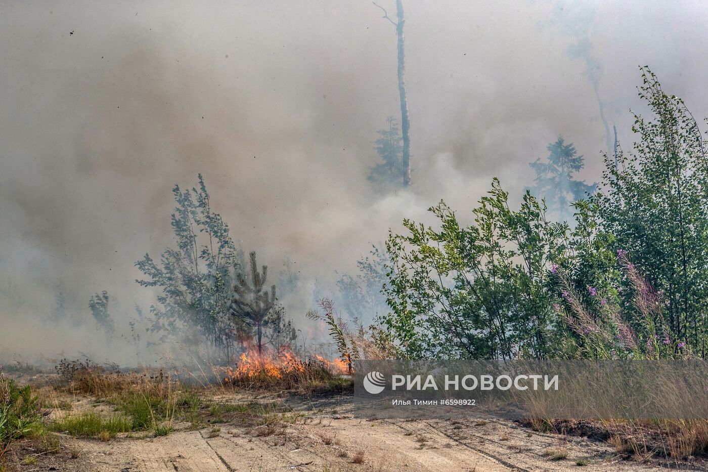 Природные пожары в Карелии