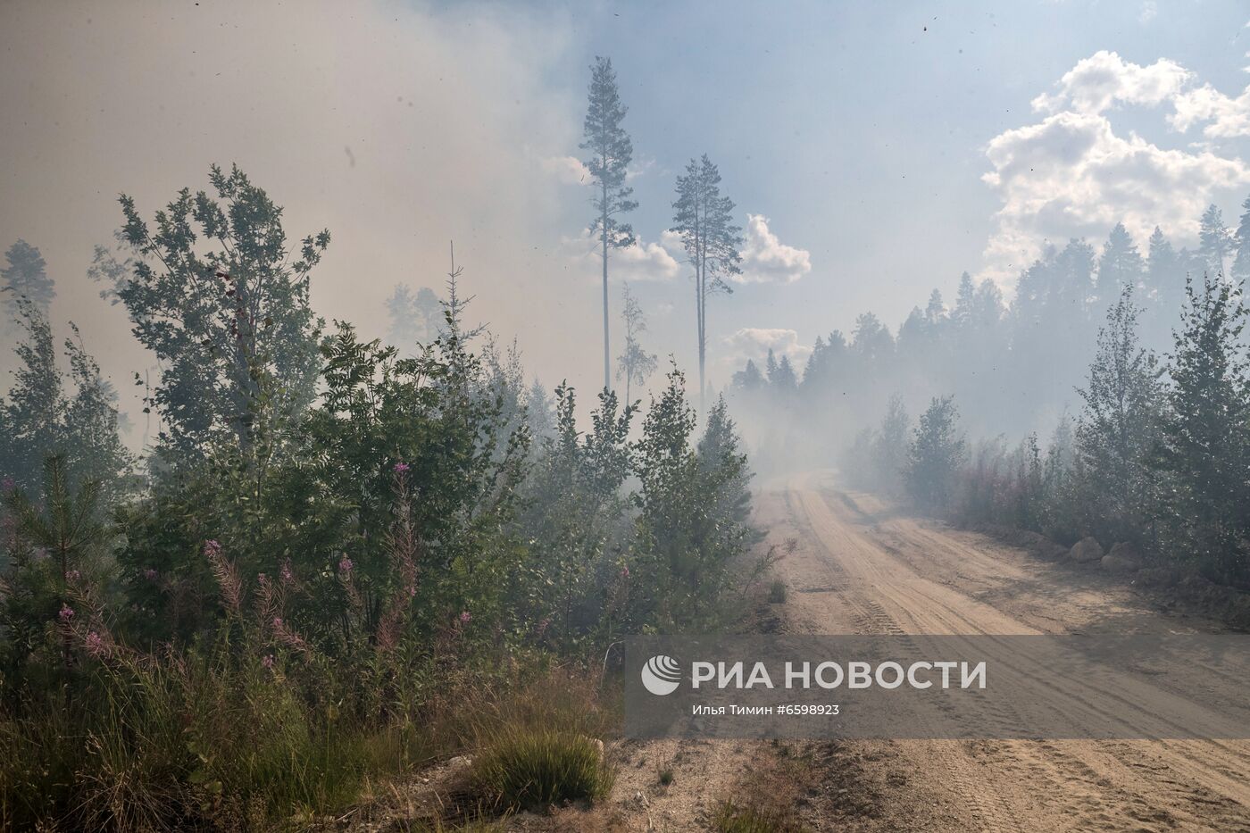 Природные пожары в Карелии