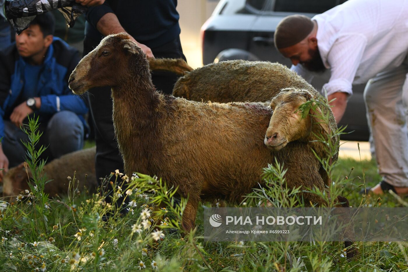 Празднование Курбан-Байрама в регионах России